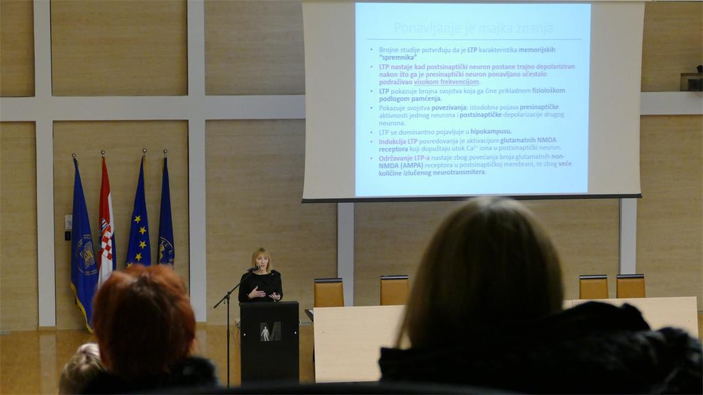 Međužupanijski stručni skup@MEFST - prof. dr. sc. Maja Valić održala je predavanje